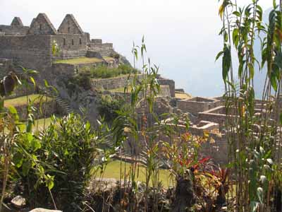 Machu Picchu