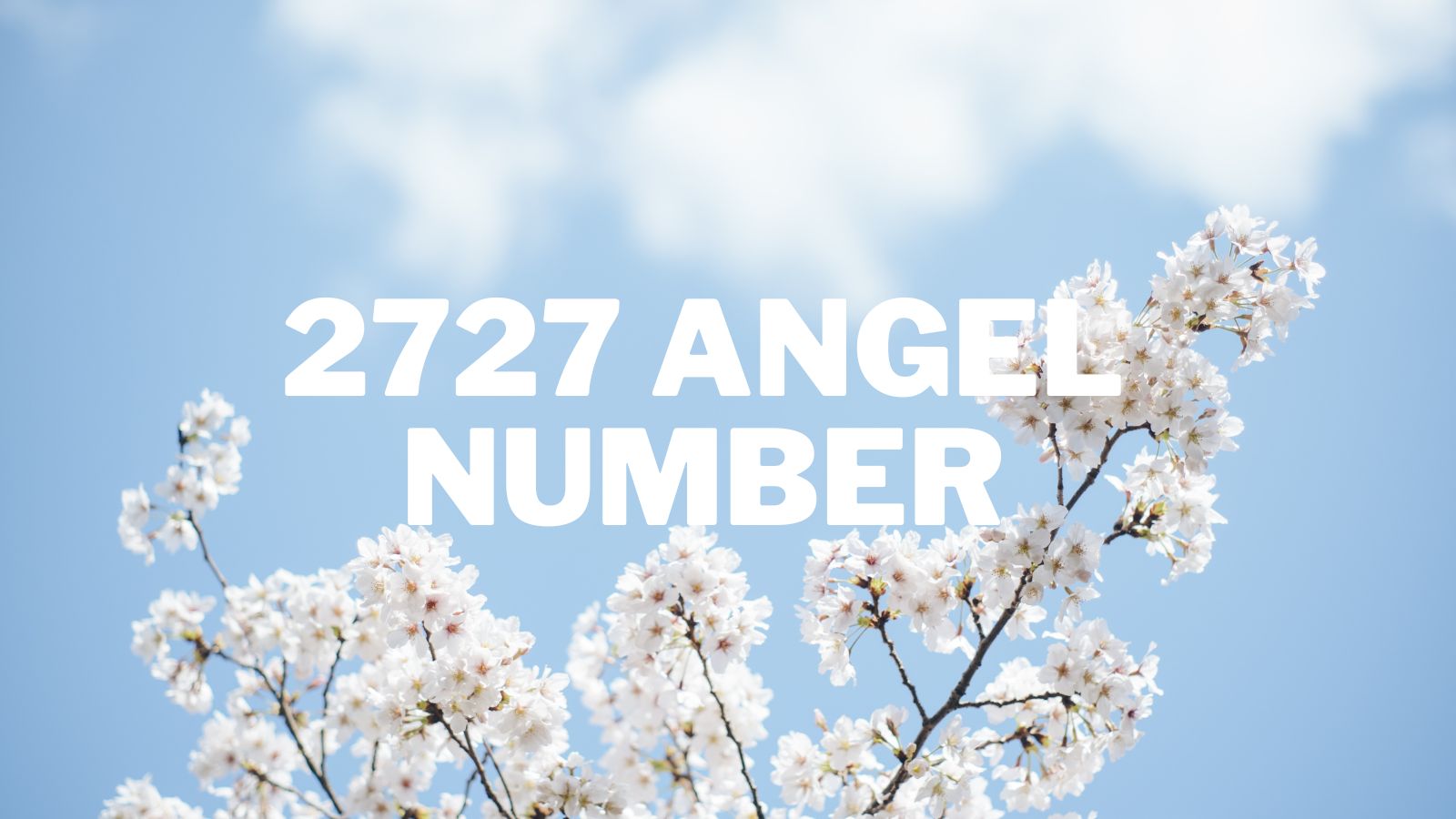 もも The Mystical Meaning of Angel Number 2727: Unlocking Divine