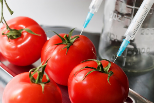 10 Common Genetically Modified Foods Howstuffworks