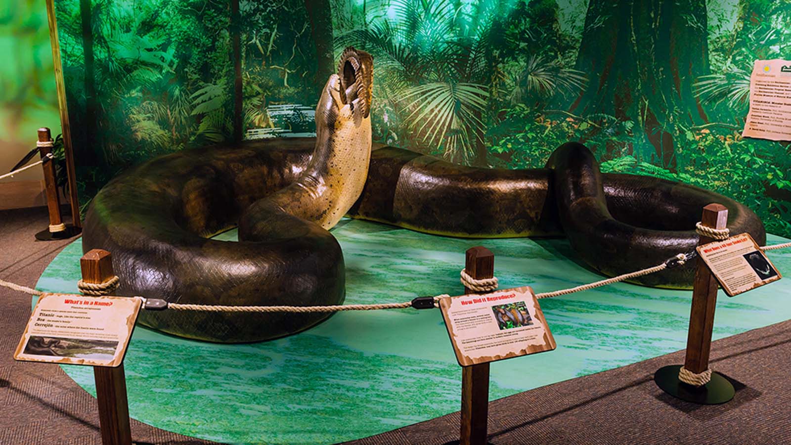 Titanoboa Vs Deinosuchus