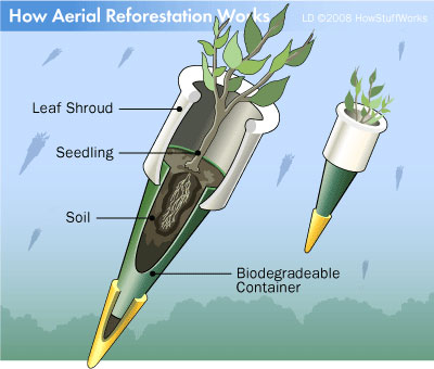 aerial-reforestation-3.jpg