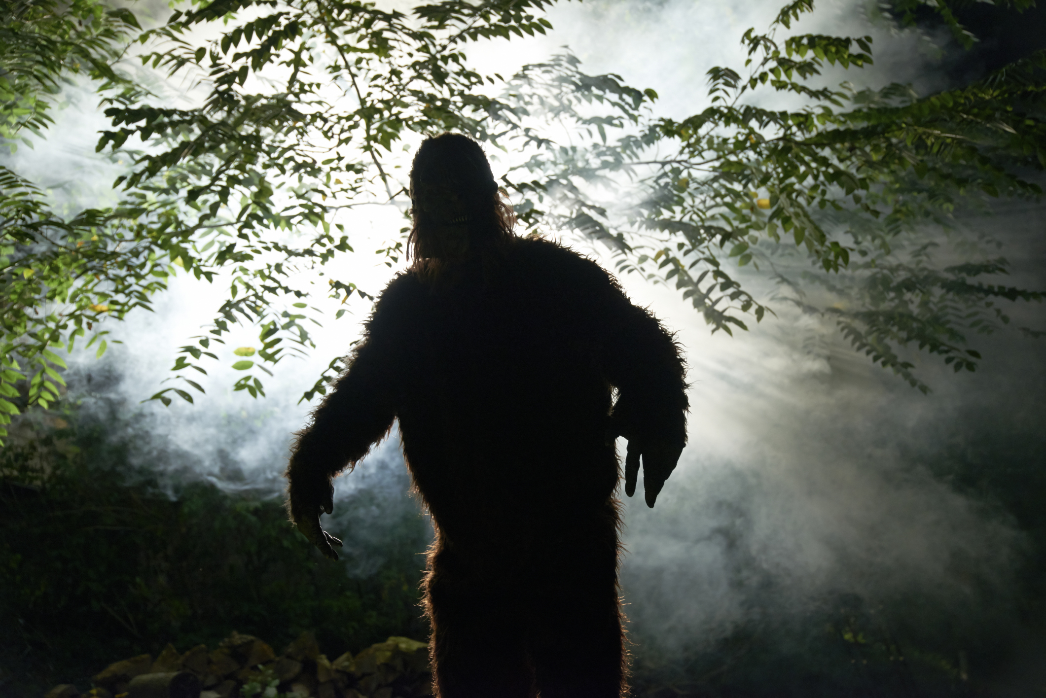Real Life Monsters That Will Give You Chills