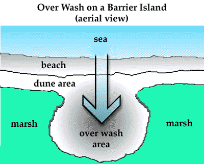 Storms push sediments through to form the overwash
