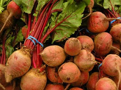 Bunch of beets