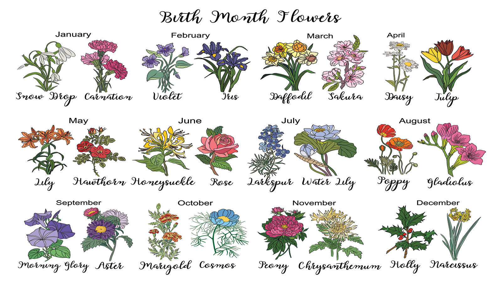July Birth Flowers