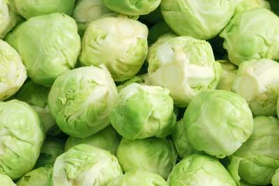 BRUSSELS SPROUTS