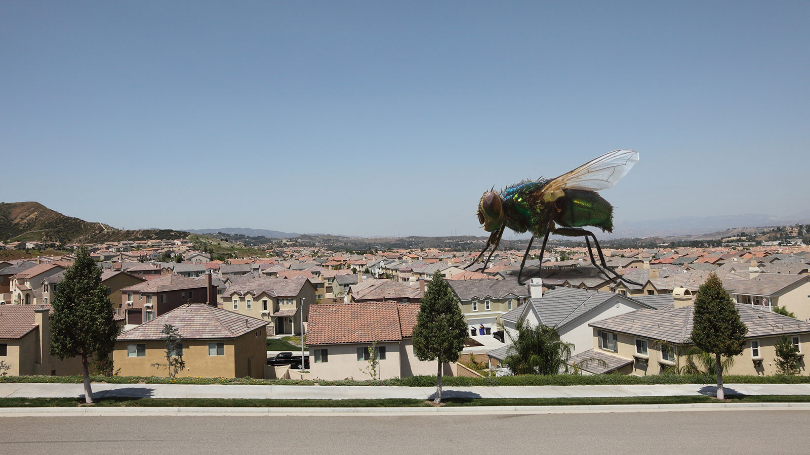 Insect Screen Protects Families from Allergies & Insects