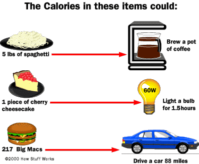 How Calories Work | HowStuffWorks