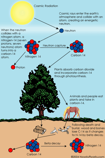 carbon dating origins