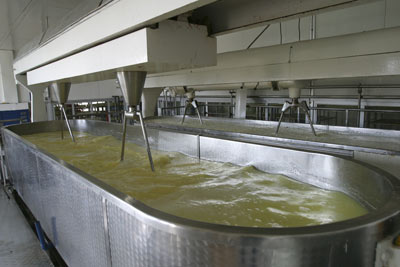 Cheese making