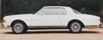 The 1979 Chevrolet Caprice Classic came standard with bodyside pinstriping.