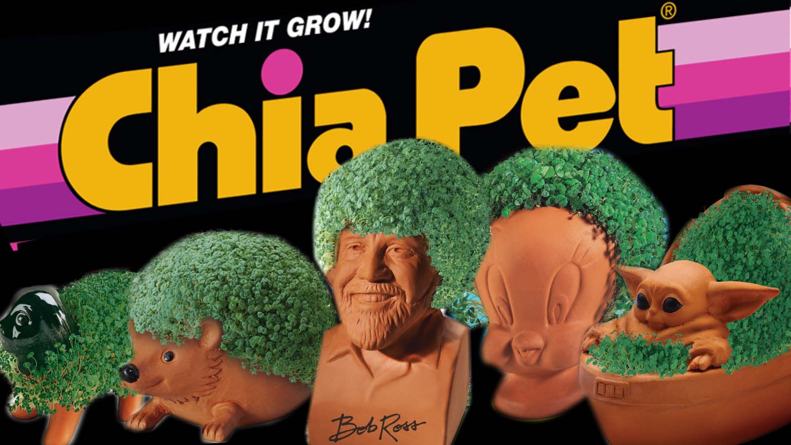 Cheap Chia Pets - The W Guide