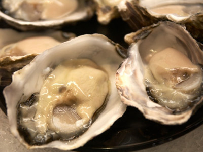 oysters oysters