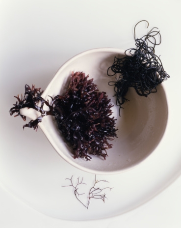black moss seaweed black moss seaweed