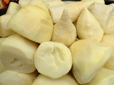 bamboo shoots bamboo shoots
