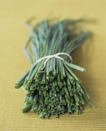 garlic chives garlic chives