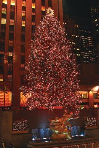 Increase your Christmas entertainment trivia knowledge with this fact: The Christmas tree at Rockefeller Center has more than 25,000 lights.