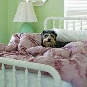 How To Clean A Down Comforter How To Clean Bed Sheets And