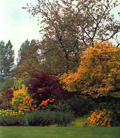 home and gardening landscape