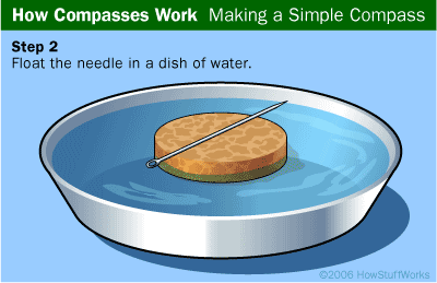 the needle of a magnetic compass points toward the