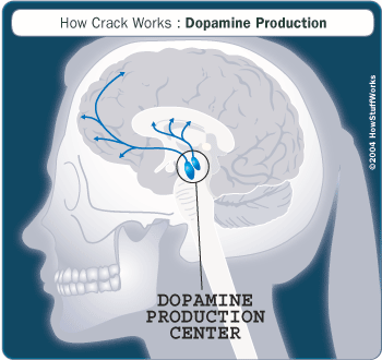 crack-dopamine.gif