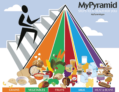 food pyramid