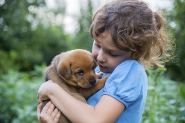 do dog years really exist