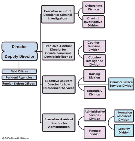 Fbi Organizational Chart