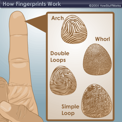 What are fingerprints? | HowStuffWorks