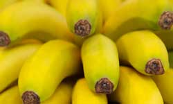 Starting a 7 Day Detox Plan for Weight Loss