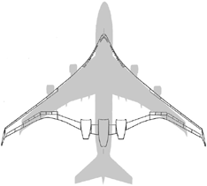 commercial delta wing aircraft