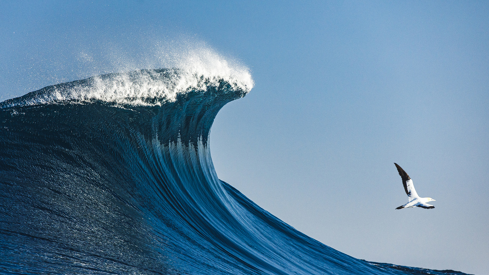 Where is the biggest tsunami ever recorded