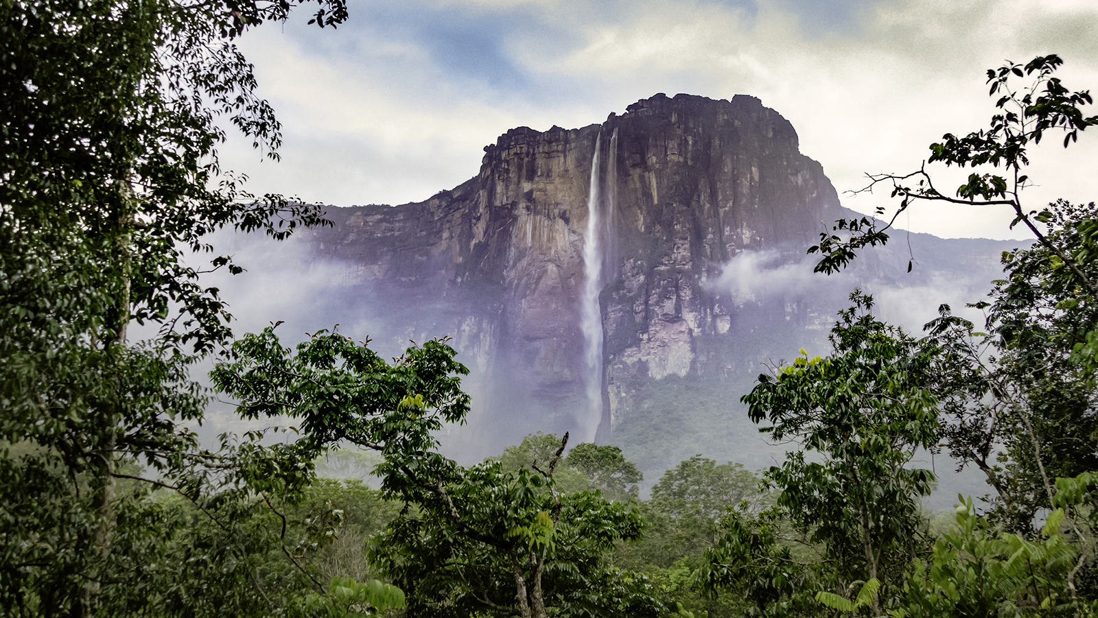 Angel Falls The Tallest Waterfall In The World