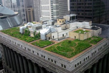 Green Roofs And White Roofs: Low Tech Ways To Save Tons Of Energy