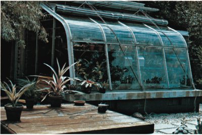 Whether an elaborate greenhouse or just a simple window, orchids enjoy the cooler temperatures and circulating air near a window.