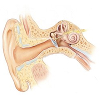 How you hear - Mayo Clinic