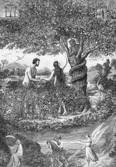 Adam and Eve Adam and Eve