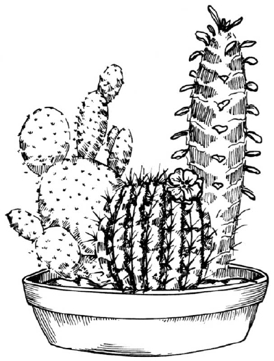 Featured image of post View 16 Simple Cactus Drawing Easy