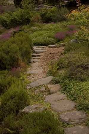 A garden pathway edged with ornamental grasses is peaceful and inviting.