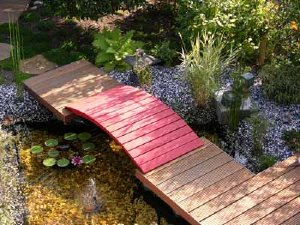 Water gardens attract attention in a landscape garden design.