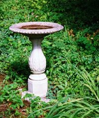 A birdbath will attract visitors to your garden, adding color and life.