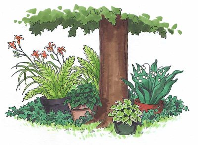 beating roots in a shade garden