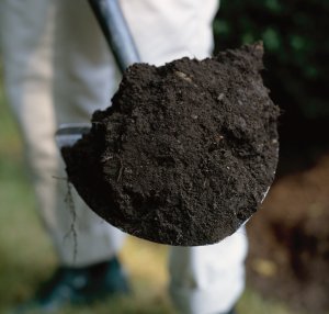 When growing an herb garden, check for soil texture by squeezing soil into your hand.