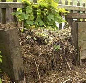 When planting an herb garden, remember to compost.