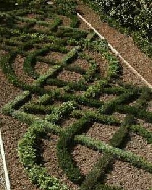 If you want to plant a formal herb garden, consider the knot garden that combines fragrant herbs and shrubs.