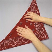 Fold the bandana in half, cross-wise, to make a triangle.