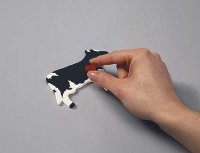 Glue the heart to side front of the cow.