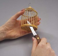 Using a knife, remove the bottom of the cage.