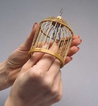 Glue the beaded string to the top of the cage.