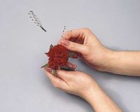 Insert a gold spray on either side of you flower arrangement.